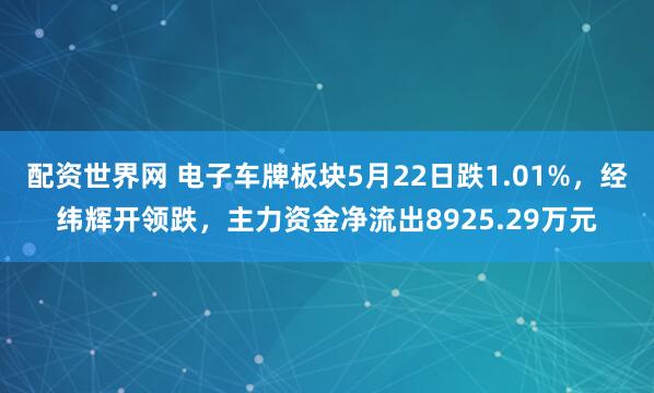 配资世界网 电子车牌板块5月22日跌1.01%，经纬辉开领跌，主力资金净流出8925.29万元